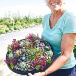 Succulents Custom Potting