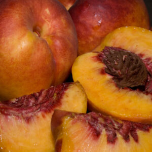 Prunus NECTARINE 'Fantasia' Semi-Dwarf (self-fruitful & freestone), 7 gal